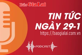 Tin tức sáng 29-1: 460 quân nhân hoàn thành nghĩa vụ quân sự trở về địa phương