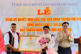 Làng C đạt chuẩn nông thôn mới