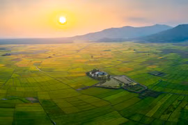 Hoàng hôn buông trên cánh đồng Ngô Sơn