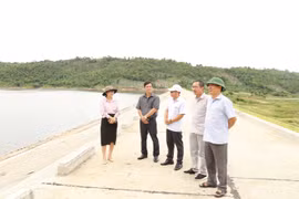 Hội Nhà báo Gia Lai: “Cầu nối” với cấp ủy, chính quyền địa phương