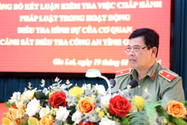 Gia Lai: Tỷ lệ giải quyết tin báo, tố giác về tội phạm, kiến nghị khởi tố đạt 91,12%
