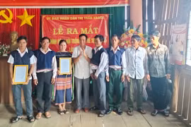 Ra mắt Nông hội trồng cà phê xen mắc ca làng Groi