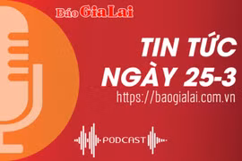 Tin tức sáng 25-3: Pleiku cần rà soát, có phương án quy hoạch những vị trí có quỹ đất sạch