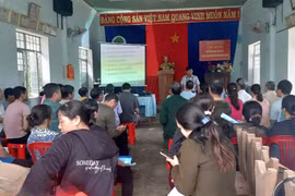 Tập huấn kỹ thuật cải tạo vườn điều cho 50 nông dân xã Ia Nan