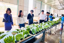  Khởi động chương trình “Đồng hành cùng doanh nghiệp” 