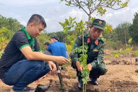 Ia Grai trồng 3.000 cây giáng hương kỷ niệm sinh nhật Bác