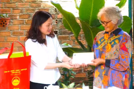 Phó Trưởng Đoàn Đại biểu Quốc hội tỉnh thăm, tặng quà gia đình chính sách tại thị xã An Khê