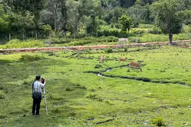 Mở rộng hợp tác quốc tế trong phòng-chống tội phạm, vi phạm pháp luật về đa dạng sinh học