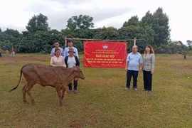 Trao 15 con bò cho các hộ nghèo và cận nghèo làng Đak Bớt