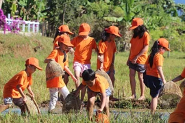 45 thiếu nhi trải nghiệm chương trình “Xuân trưởng thành”