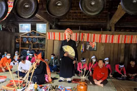 Đồng ý đệ trình UNESCO di sản văn hóa phi vật thể Mo Mường và Nghệ thuật Chèo