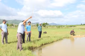 Krông Pa: Bé trai 9 tuổi tử vong trong ao tự múc trên rẫy