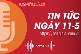 Tin tức sáng 11-5: Gia Lai tuyển 69 viên chức làm việc tại các ban quản lý rừng