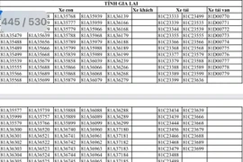 Gia Lai có 1.284 biển số xe ô tô được đưa vào danh sách đấu giá