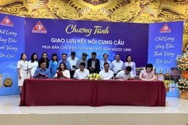 Công ty Trường Sinh tổ chức chương trình kết nối cung cầu mua bán, chế biến sâm Ngọc Linh