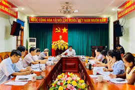 Tổng kết công tác giám sát việc chấp hành các quy định về quy hoạch, thăm dò, khai thác khoáng sản 