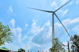 Bộ Công an yêu cầu cung cấp hồ sơ liên quan đến 4 nhà máy điện gió tại Gia Lai