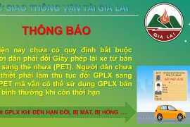 Cảnh giác trước thông tin bắt buộc phải đổi bằng lái xe giấy sang thẻ cứng