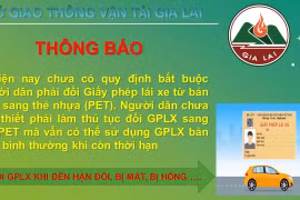 Cảnh giác trước thông tin bắt buộc phải đổi bằng lái xe giấy sang thẻ cứng