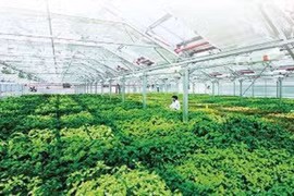 Vì một nền nông nghiệp xanh