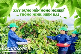 Xây dựng nền nông nghiệp thông minh, hiện đại