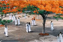 Ngày hội trường 