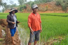 Người dân Ia Kênh bức xúc vì mùi hôi thối từ trang trại chăn nuôi