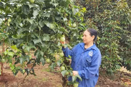 Phương thức đa canh mang lại nhiều lợi ích