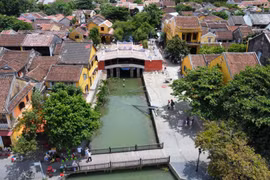 Bảo tồn không phải ép khuôn