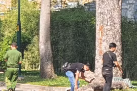Công an thông tin vụ nhánh cây rơi đè chết 2 người trong công viên Tao Đàn