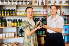 Bán hàng trên sàn thương mại điện tử: Tiện ích, tiềm năng