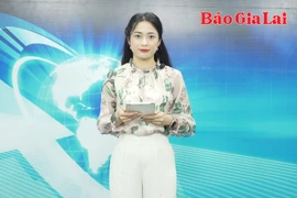 Gia Lai 24h: Góp ý dự thảo các đề cương báo cáo của Tiểu ban Điều lệ Đảng