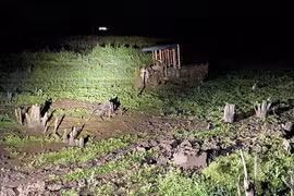 Hai người bị điện giật tử vong khi xe công nông mắc lầy