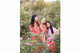 Hồi sinh những nhành hoa