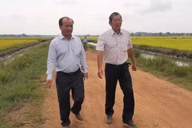 Làm nông thức thời: Lúa ông Cua lên núi 'trổ tài'