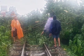 Giải tỏa các cây đổ vào ray, đường sắt thông nhiều tuyến tàu trở lại