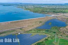 Những quyết sách trên hành trình thế kỷ - Kỳ 1: Kỳ tích đất hoang... "hóa vàng"