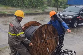 Bão Yagi làm đứt 7 tuyến cáp quang liên tỉnh