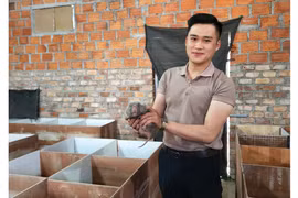 “Thủ lĩnh” Đoàn làm kinh tế giỏi