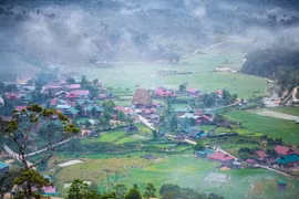 Ngôi làng giữa rừng lan