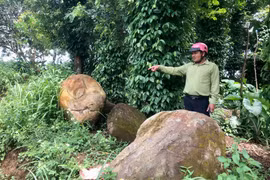 Ia Grai siết chặt quản lý khoáng sản 