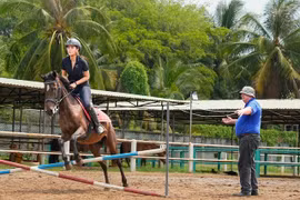 Trăm năm vó ngựa thị thành: Ông Tây mê ngựa Việt