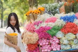 Mùa Thu gõ cửa, các nàng thơ rộn ràng check-in trên phố Hà Nội