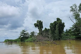 Quay cuồng trong cơn khát cát: Cát tặc hoành hành, bãi cồn teo tóp