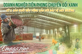 Doanh nghiệp tiên phong chuyển đổi xanh-Kỳ 1: Sản xuất bền vững gắn với bảo vệ môi trường