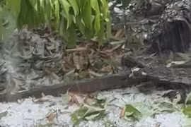 Mưa xối xả kèm giông tố sau nắng kỷ lục, Đắk Lắk thiệt hại 191 tỷ đồng