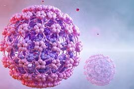 Phát hiện bất ngờ về loại virus khiến nam giới 'yếu' đi