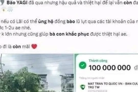 NÓI THẲNG: Sao lại khoe mẽ trên nỗi đau đồng bào!