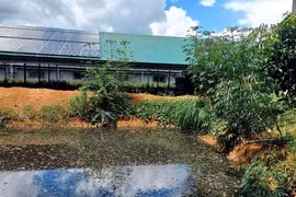 Xả thải ra suối gây ô nhiễm môi trường, doanh nghiệp bị phạt 140 triệu đồng