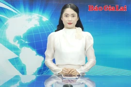 Gia Lai 24h: UBND tỉnh chỉ đạo xác minh, xử lý thông tin báo chí phản ánh tại Trường Tiểu học và THCS Phan Bội Châu 